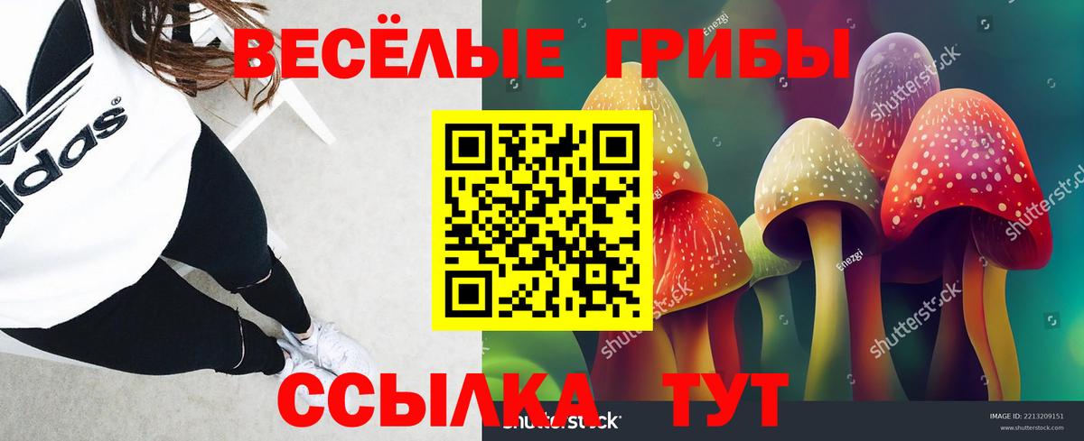 Галлюциногенные грибы ЛСД Десногорск